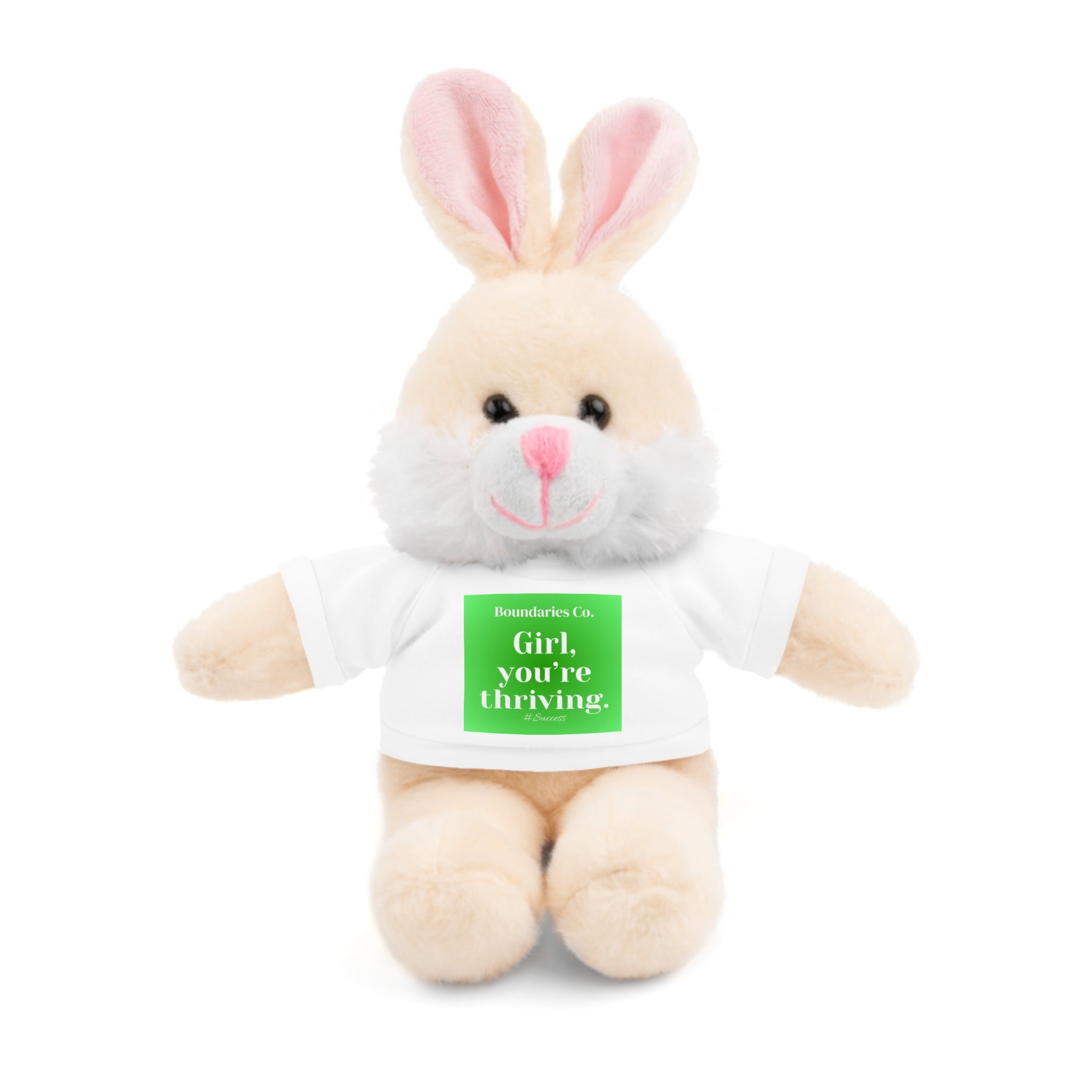 Affirmation Plushies