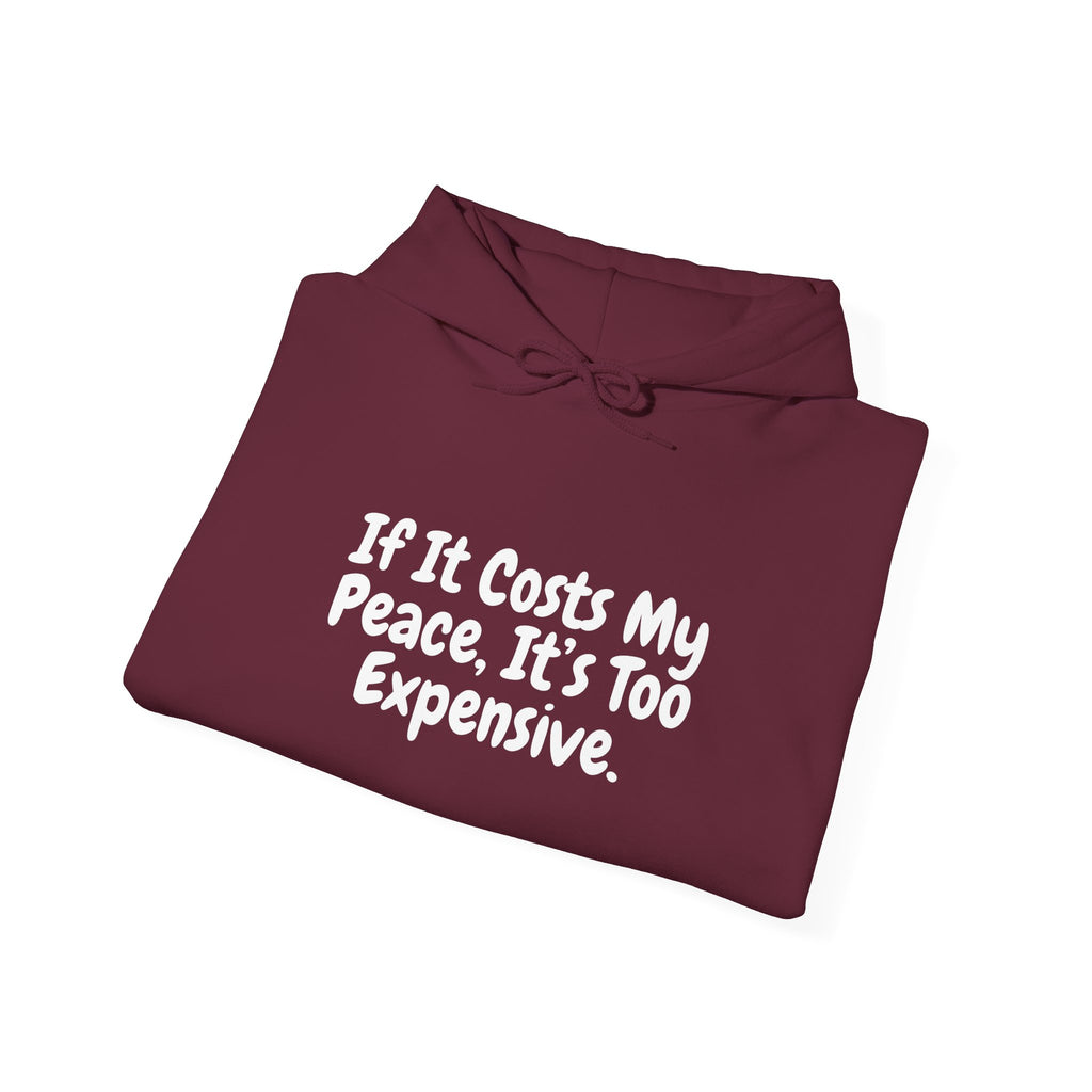 Boundaries Hoodie - Always Yours