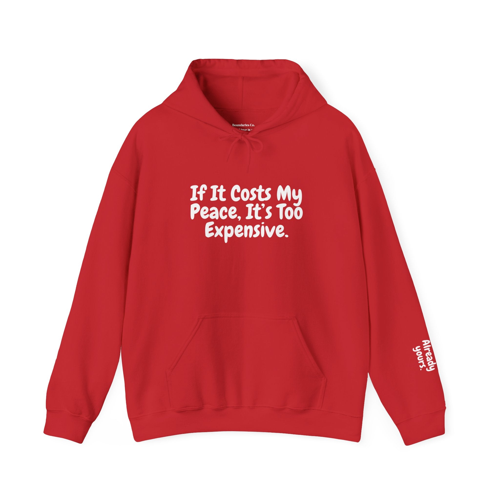 Boundaries Hoodie - Always Yours