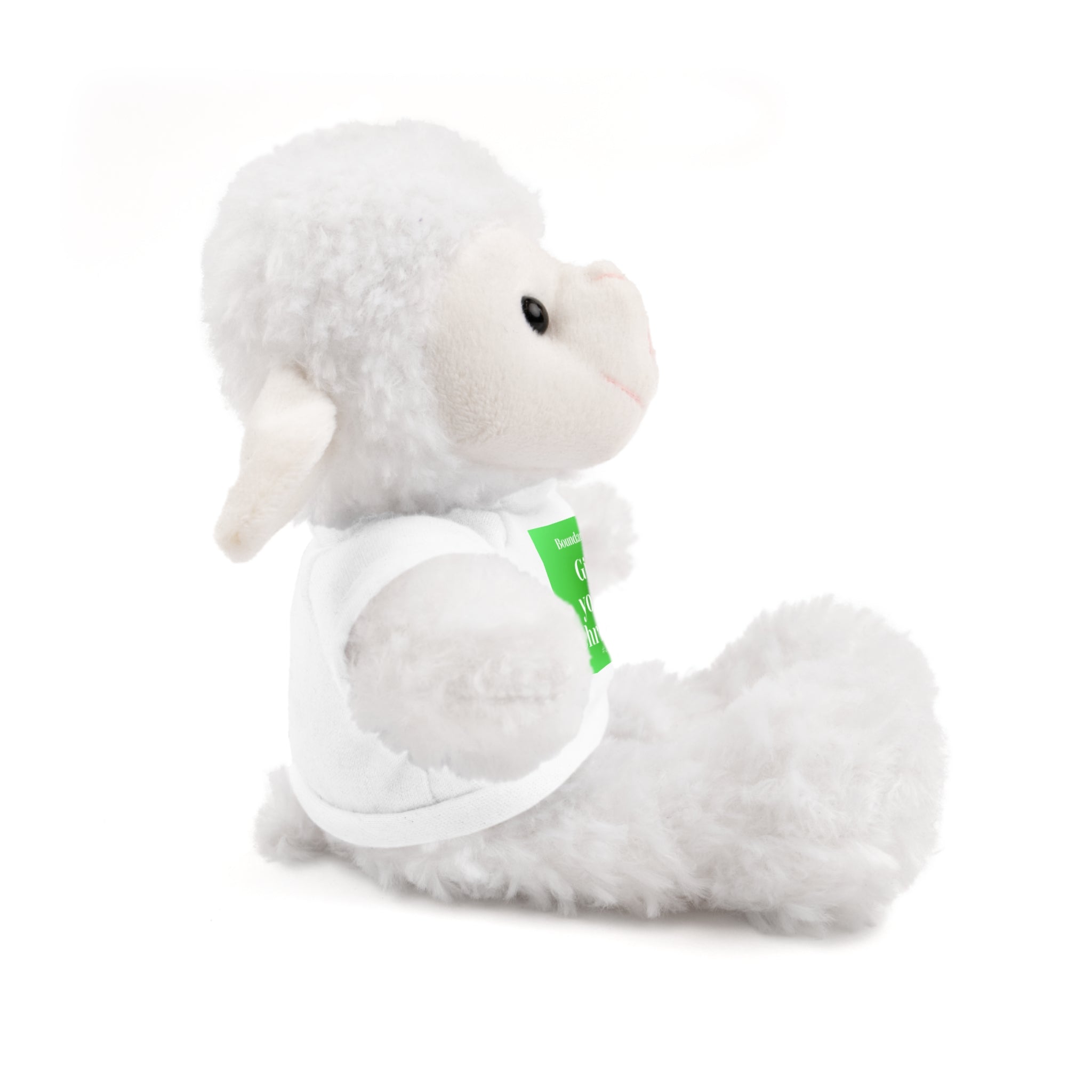 Affirmation Plushies