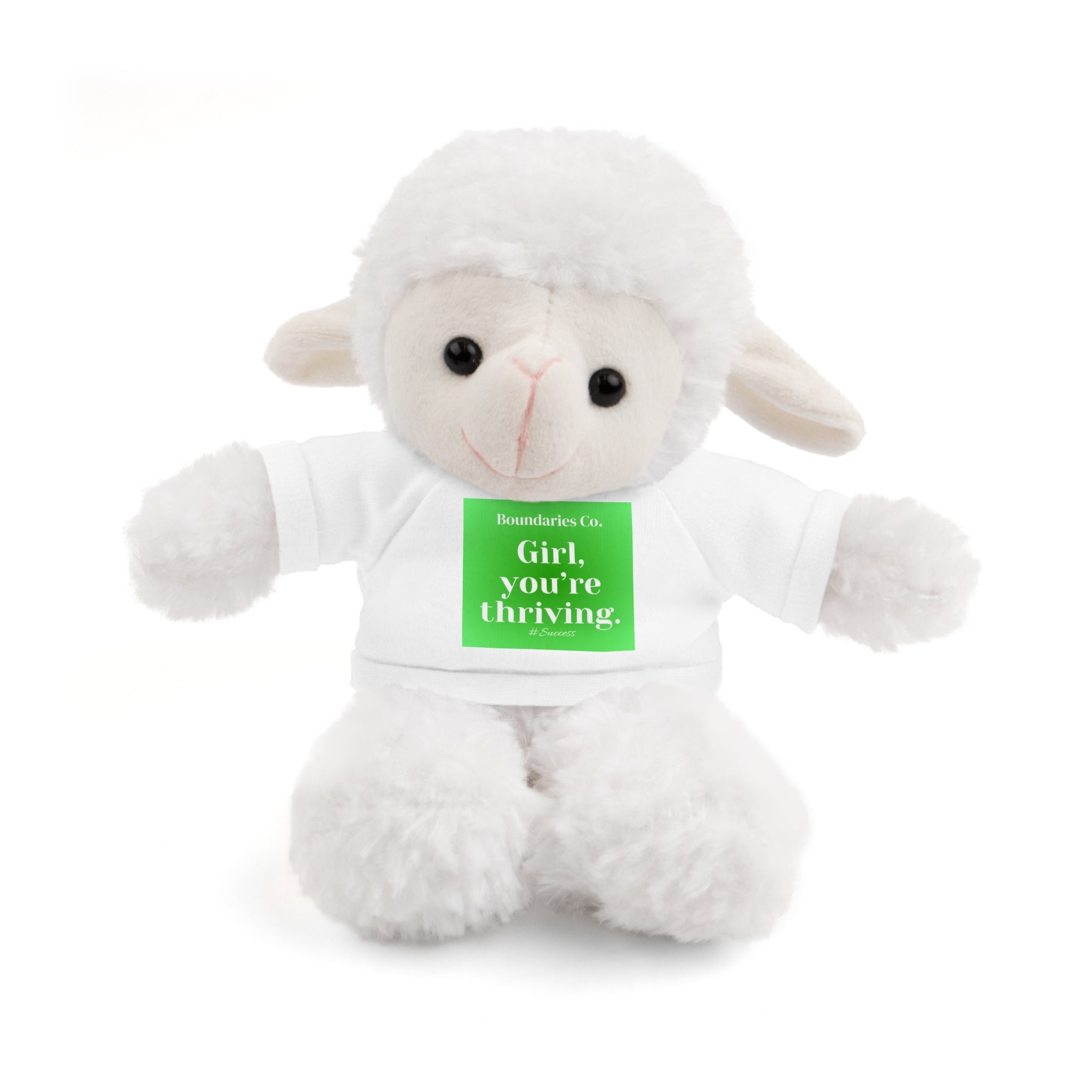 Affirmation Plushies