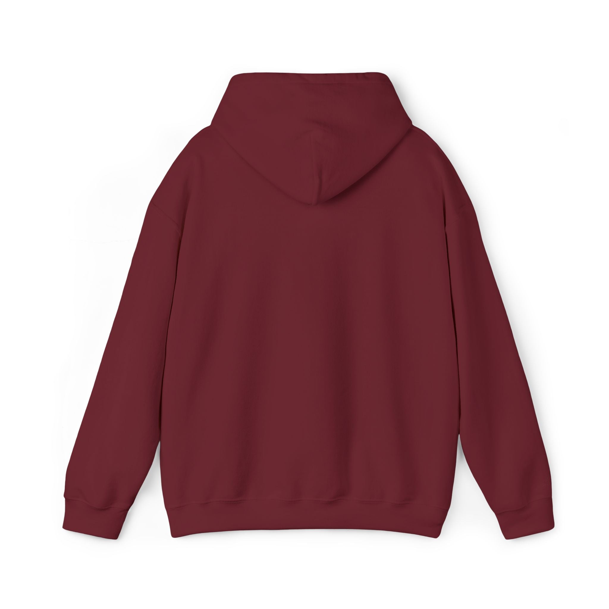 Boundaries Hoodie - Prayed For