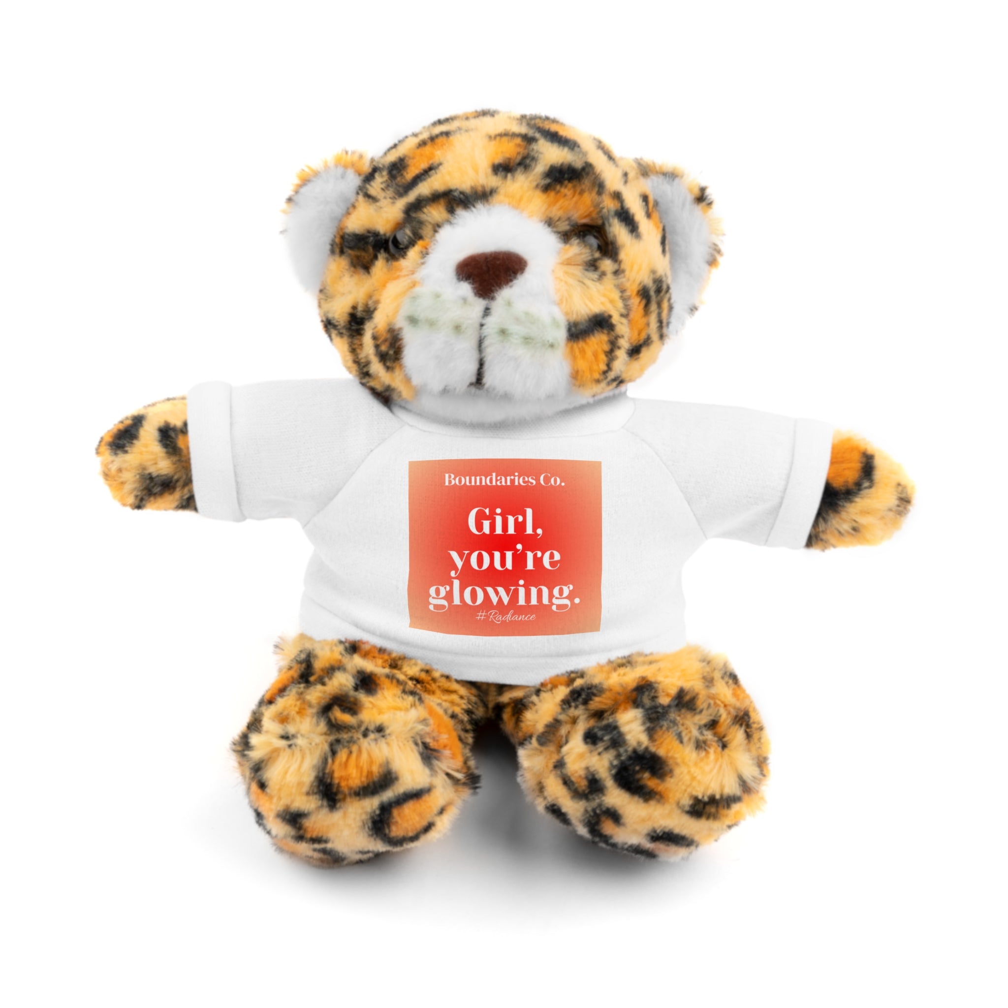 Affirmation Plushies