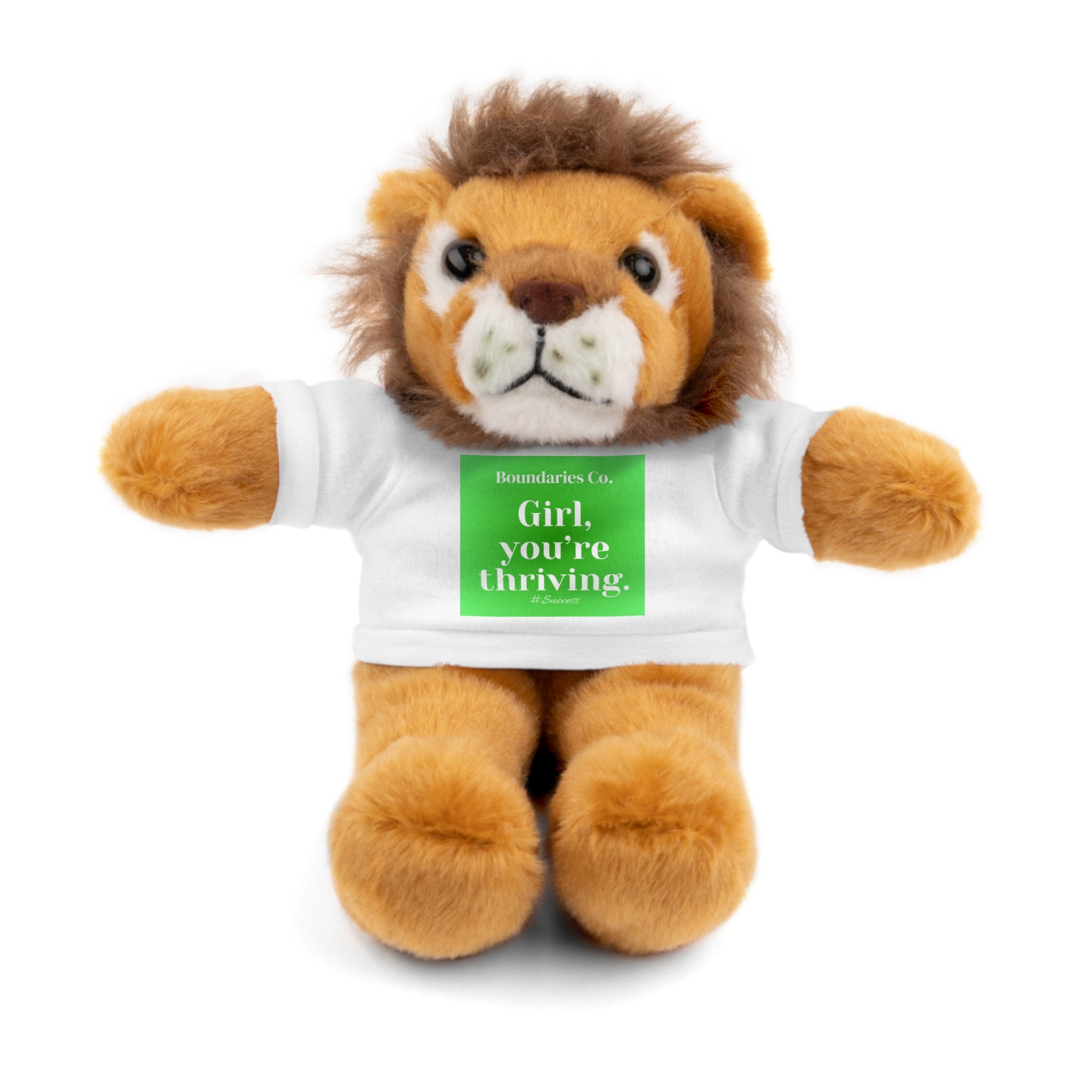 Affirmation Plushies