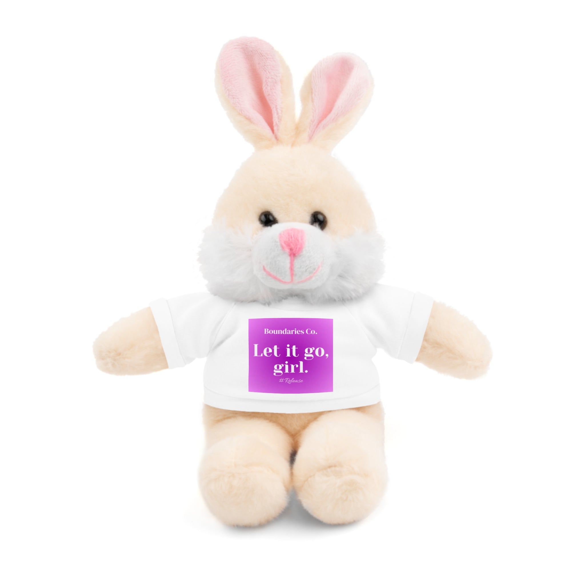 Affirmation Plushies