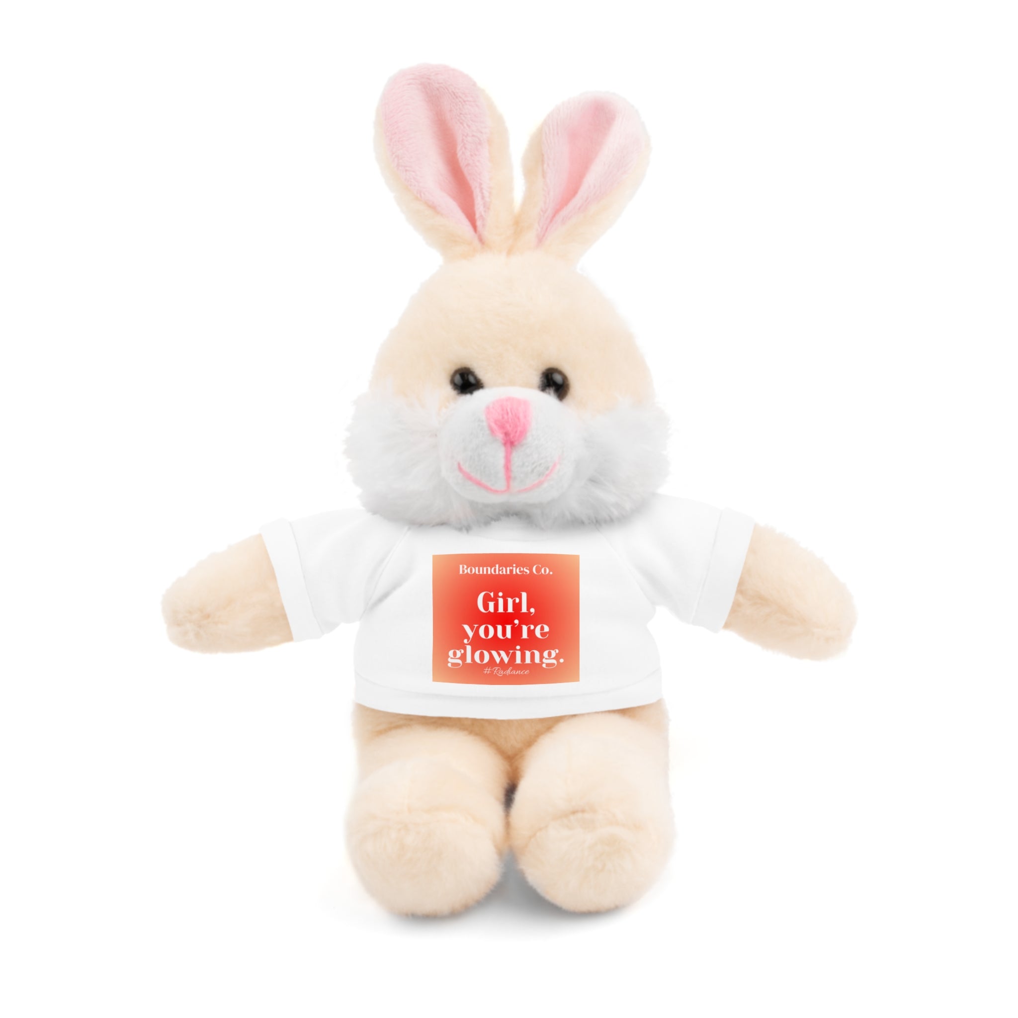 Affirmation Plushies