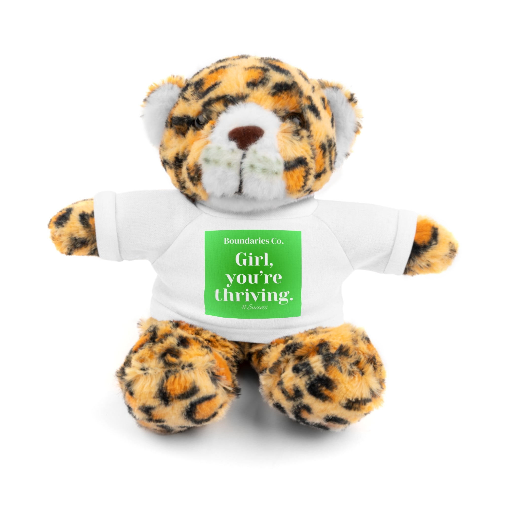 Affirmation Plushies