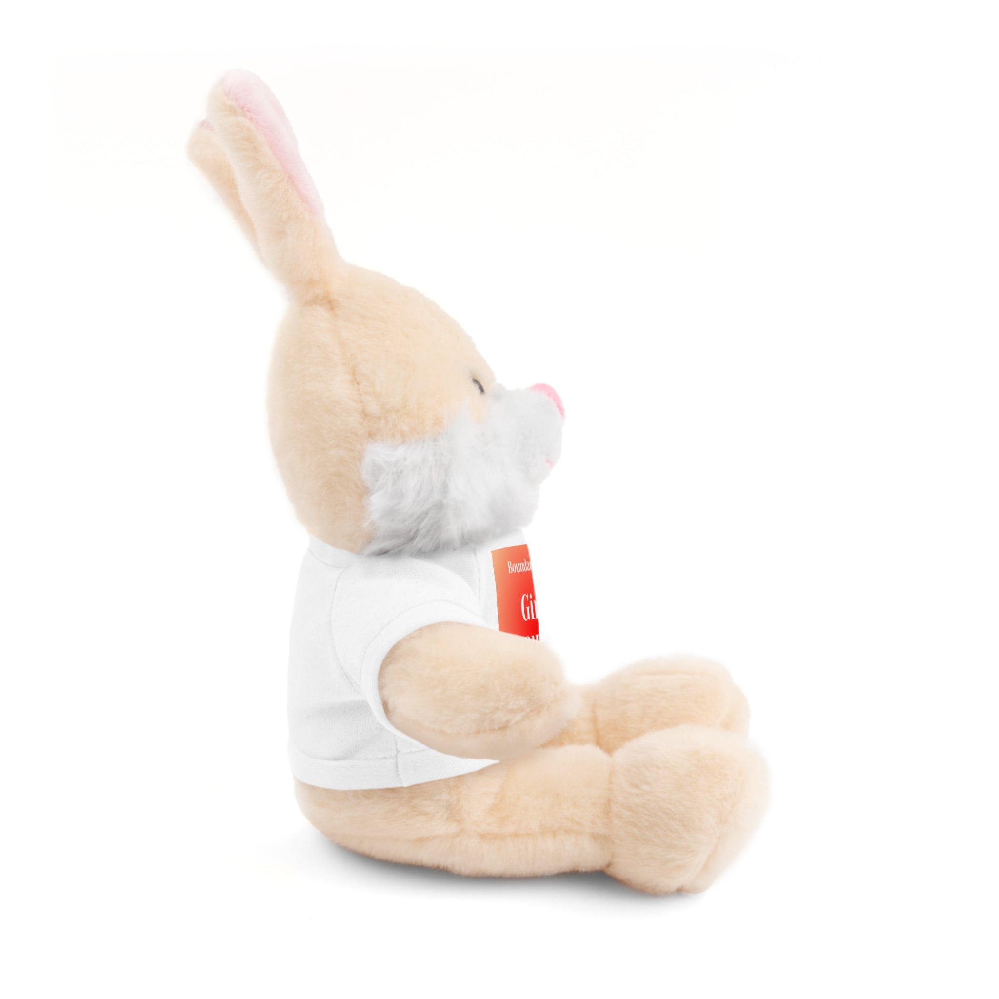 Affirmation Plushies