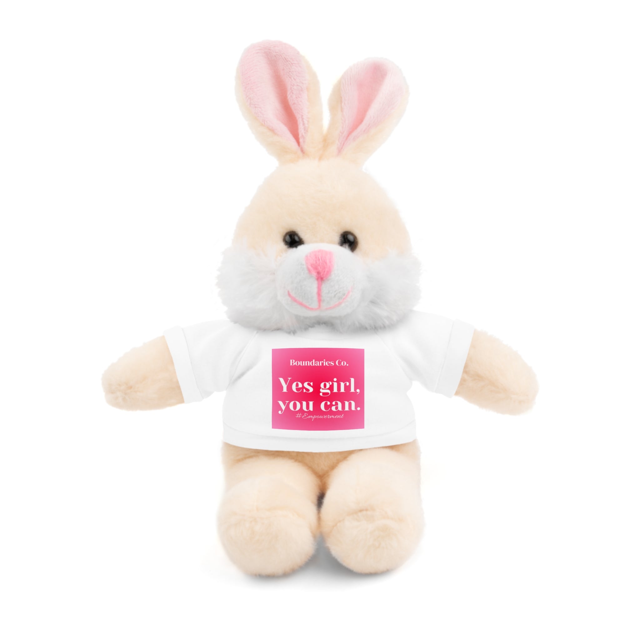 Affirmation Plushies