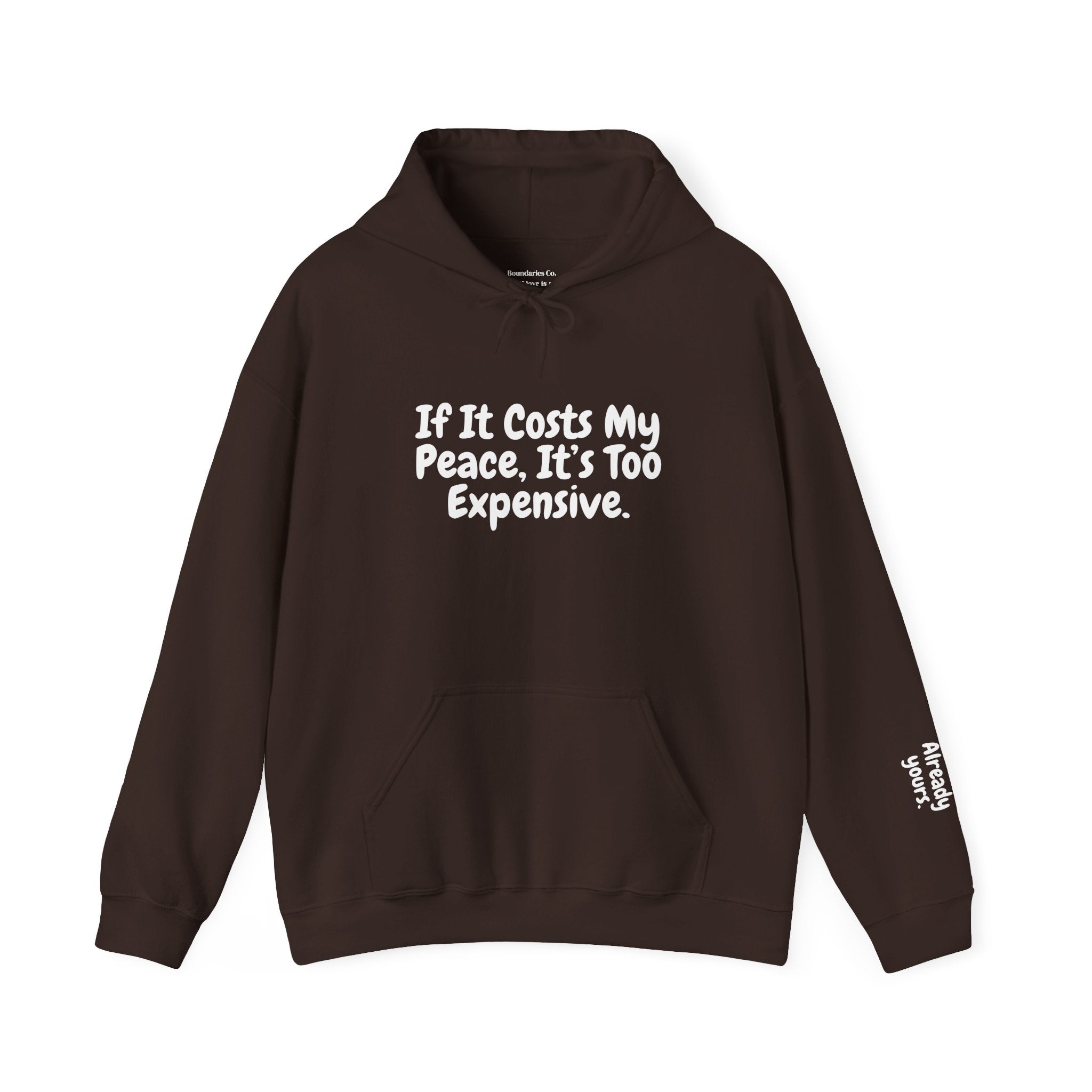 Boundaries Hoodie - Always Yours
