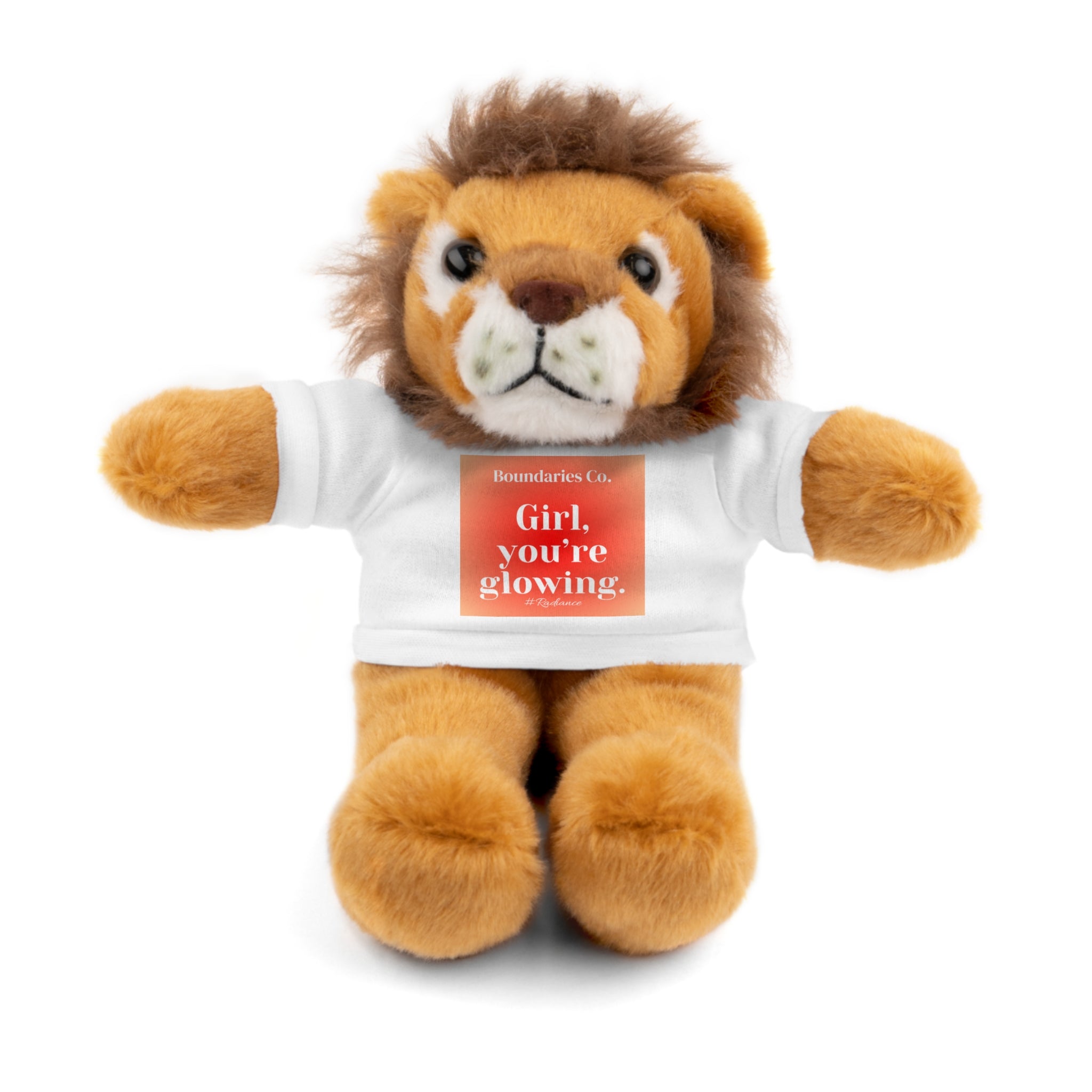 Affirmation Plushies