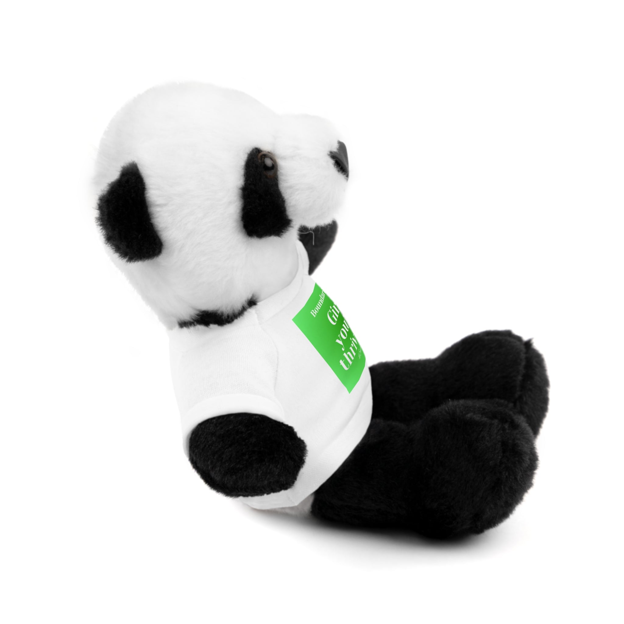 Affirmation Plushies