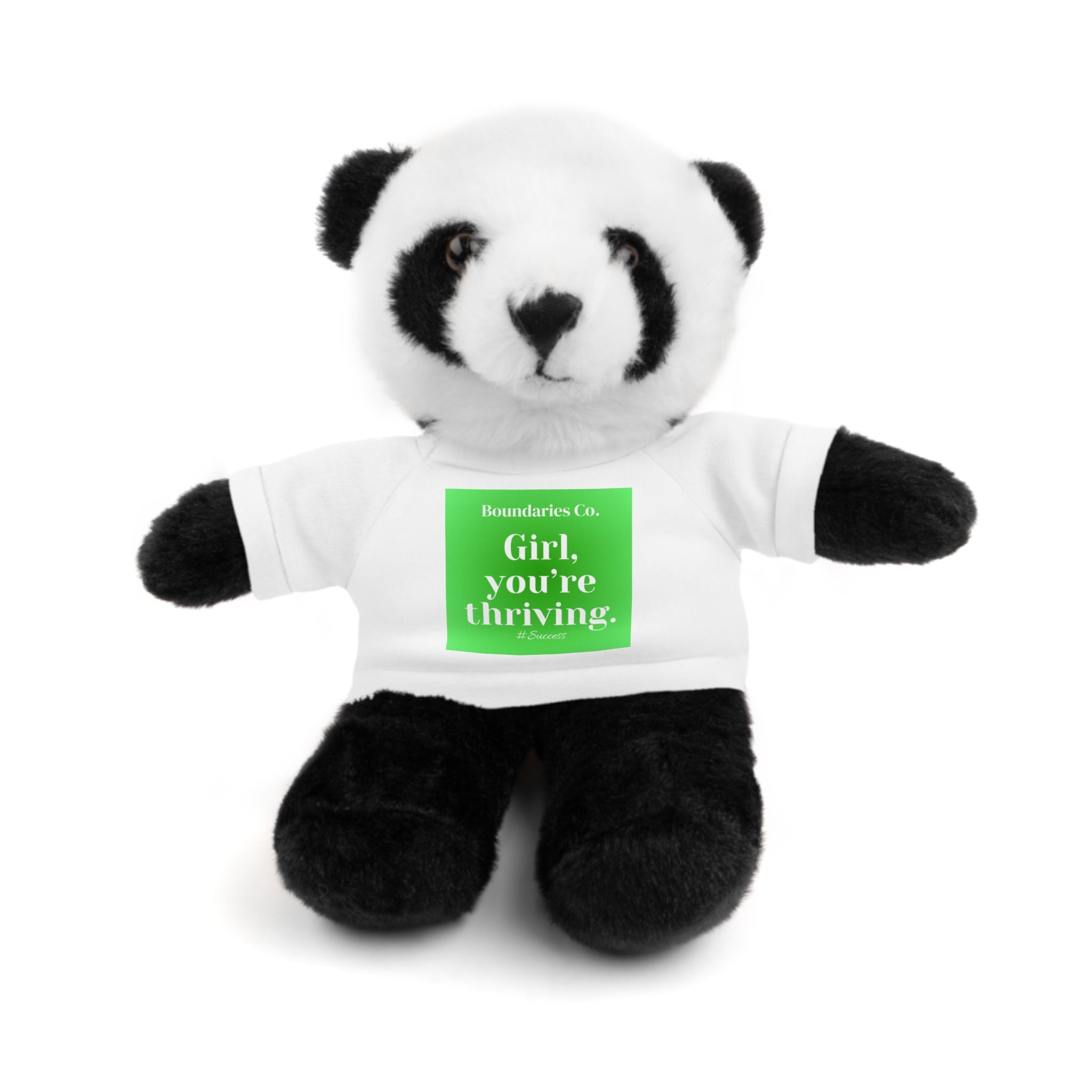 Affirmation Plushies