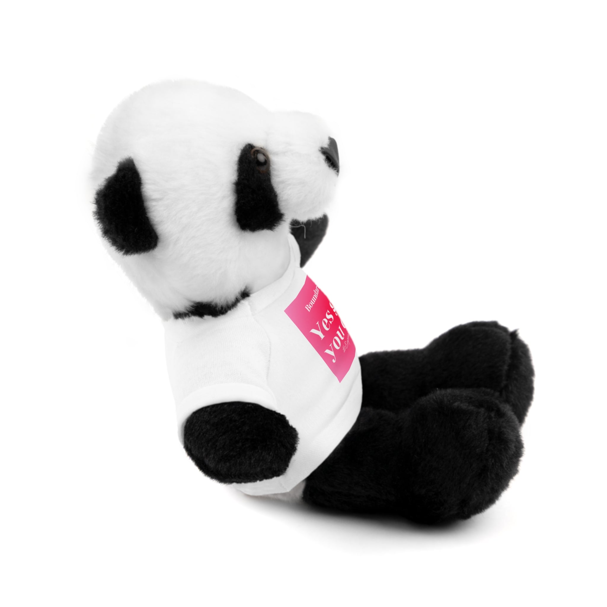 Affirmation Plushies