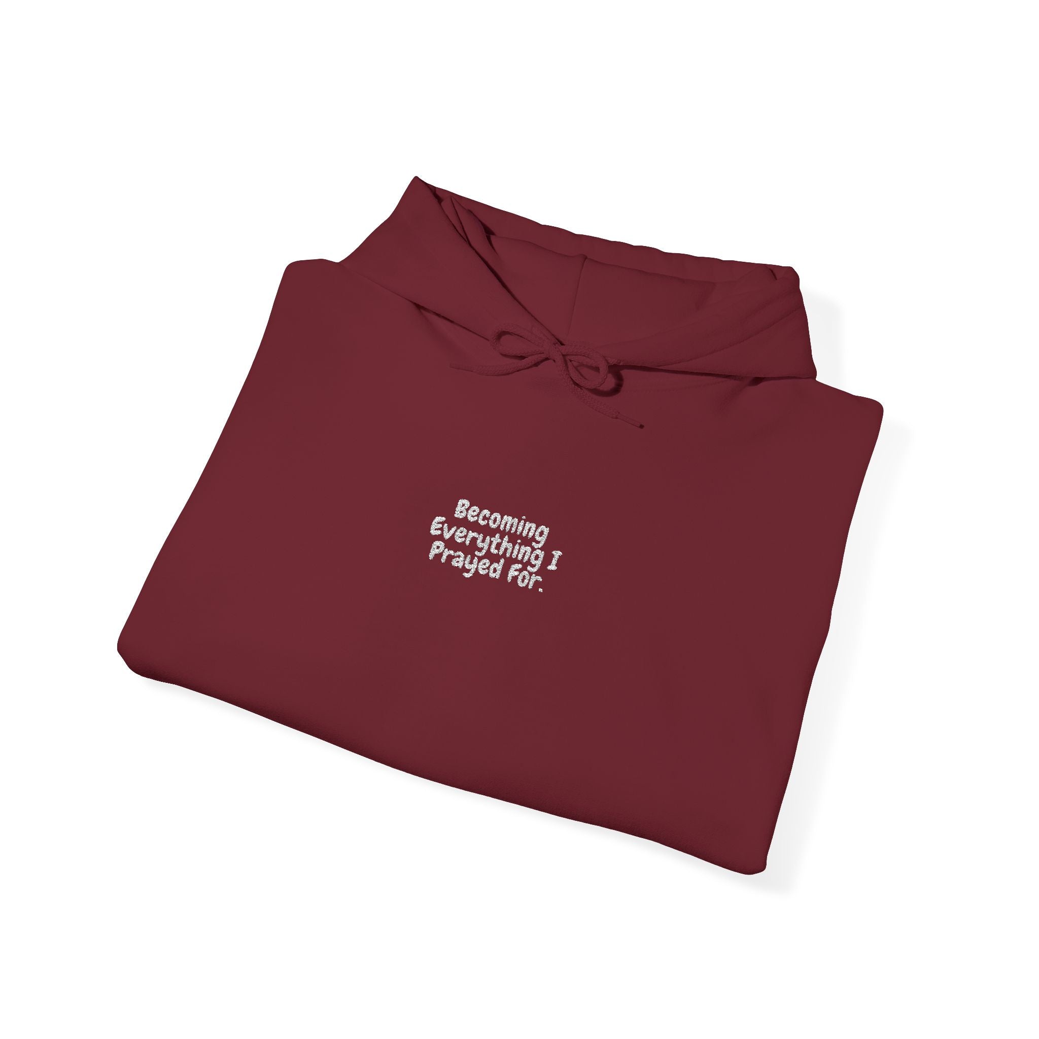Boundaries Hoodie - Prayed For